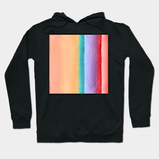 Rainbow stripe design Hoodie